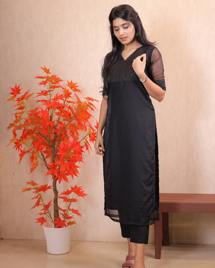 Organza Party Kurti Set-EC023