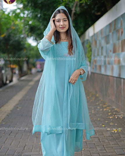 EC151 - Aqua Blue Aari Work Anarkali Dress with Butterfly Premium Net Dupatta